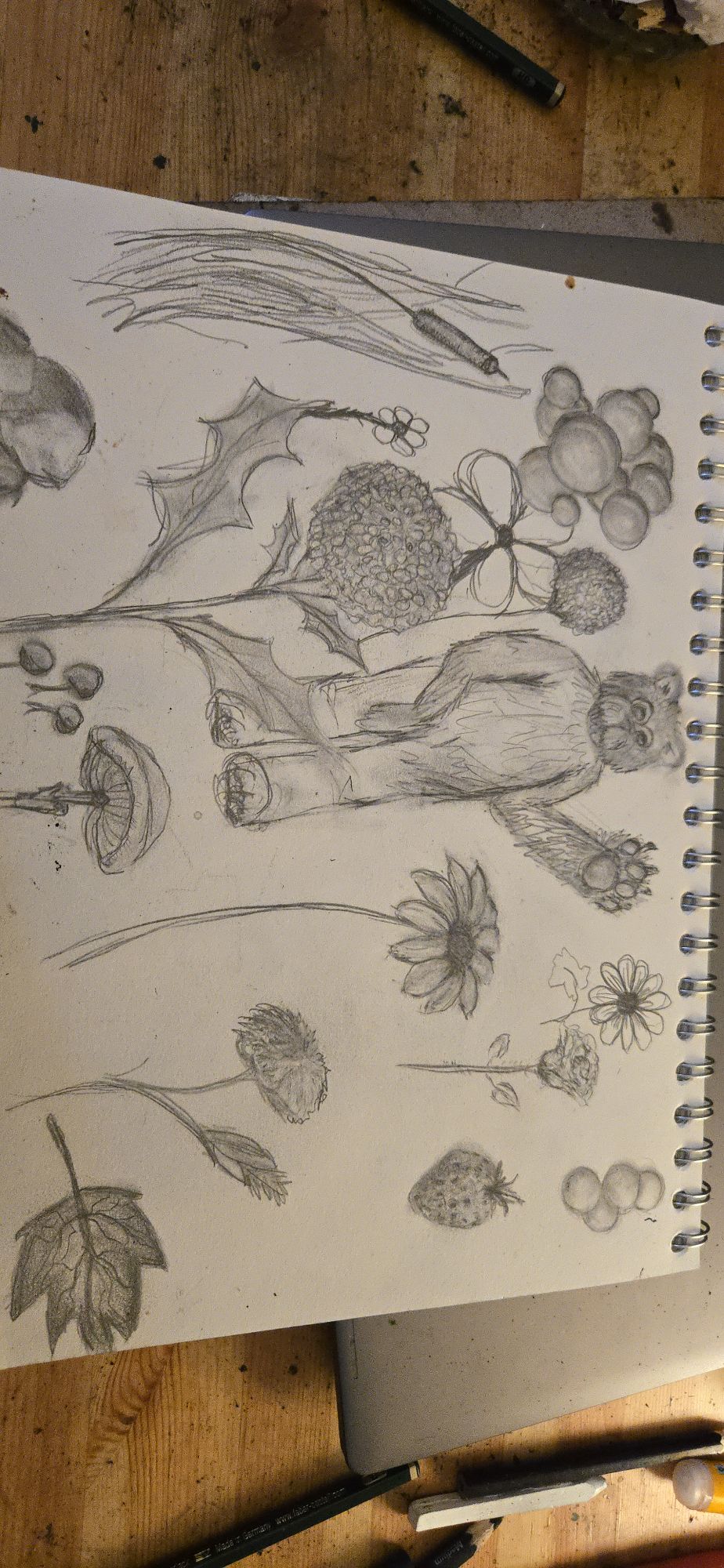 20251013_1659406579360145223864603